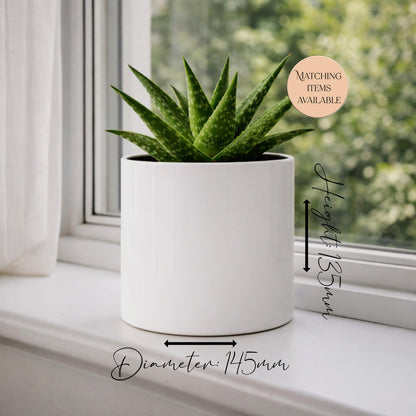 Personalised West Highland Terrier Plant Pot | Westie Gift & Succulent Planter
