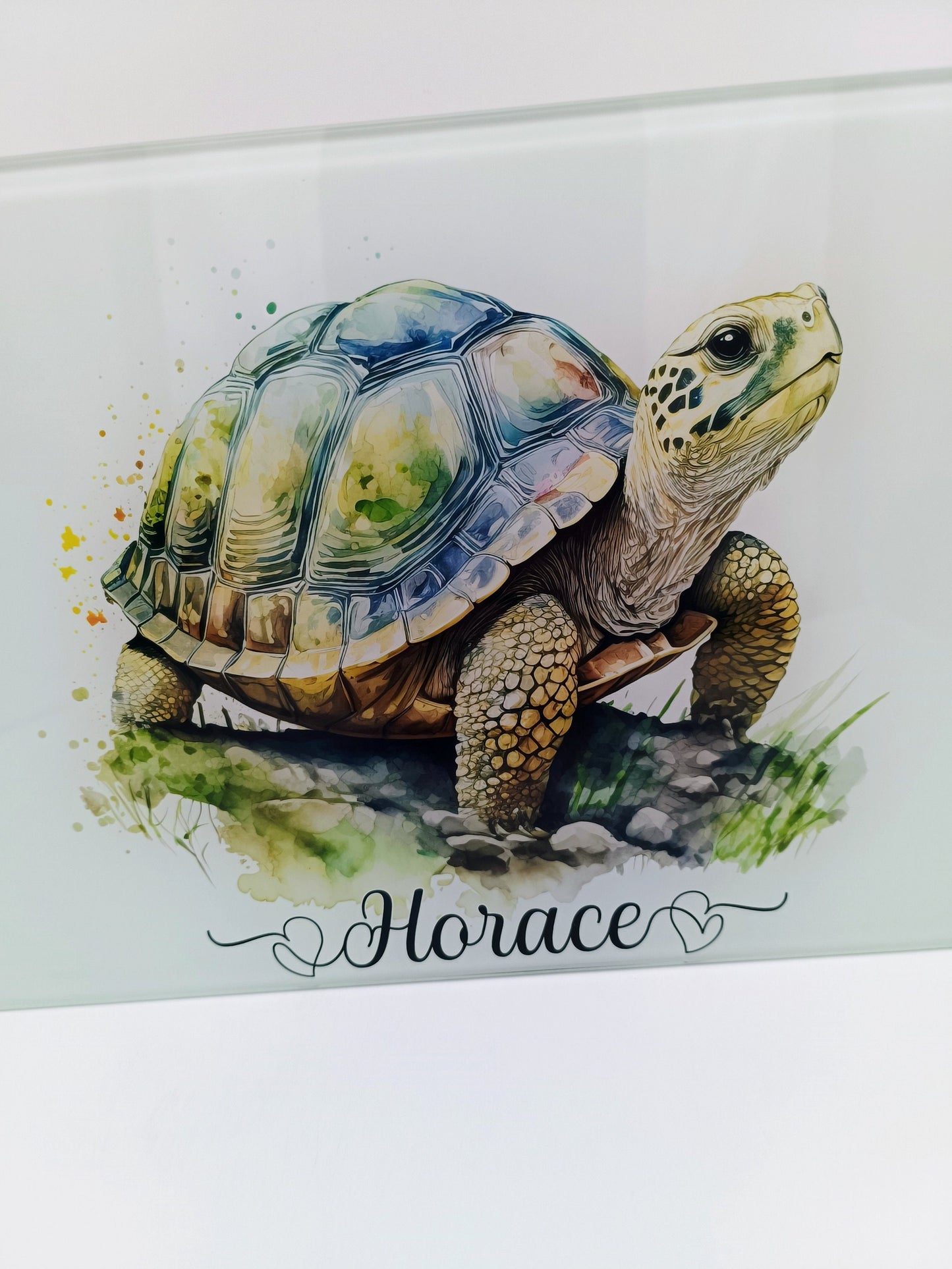 Personalised Tortoise Glass Chopping Board | A3 or A4 | Unique Gift